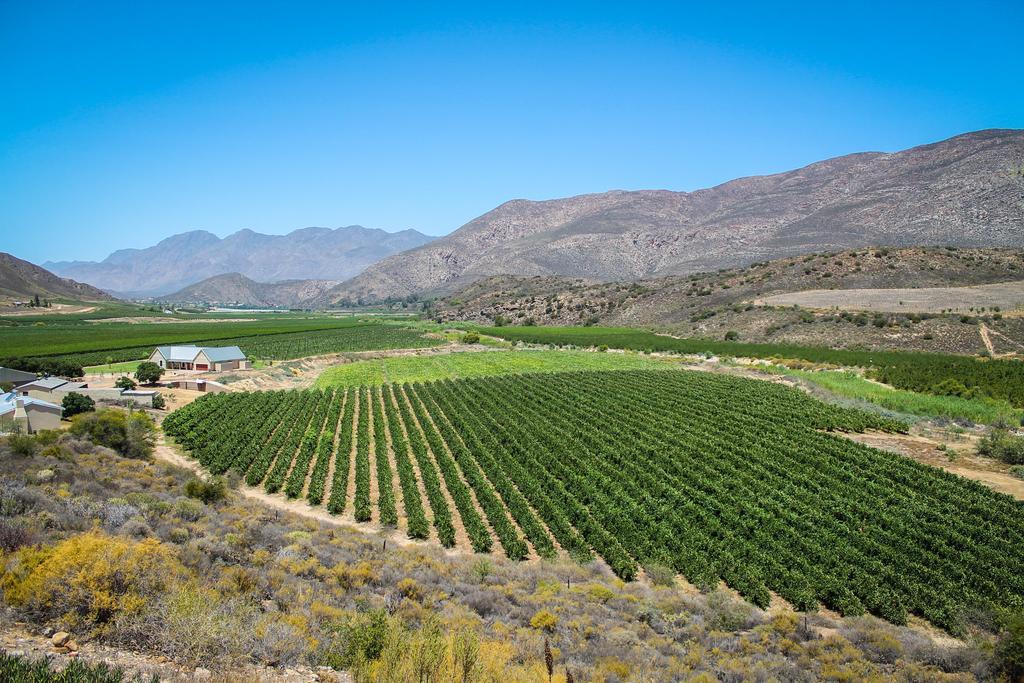 Bon Accord Farm Cottages Montagu Cameră foto